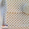 Trendy Pinterest Beaded Bag