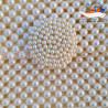 Trendy Pinterest Beaded Bag